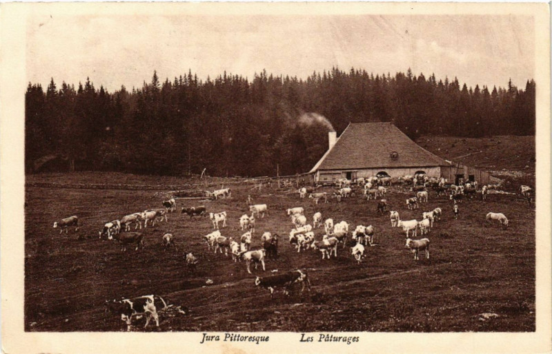 Carte postale ancienne Les Paturages