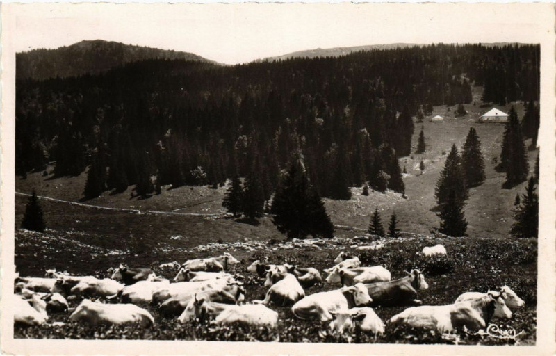 Carte postale ancienne Les estivantes dans le Massif des Rousses e l'heure de midi