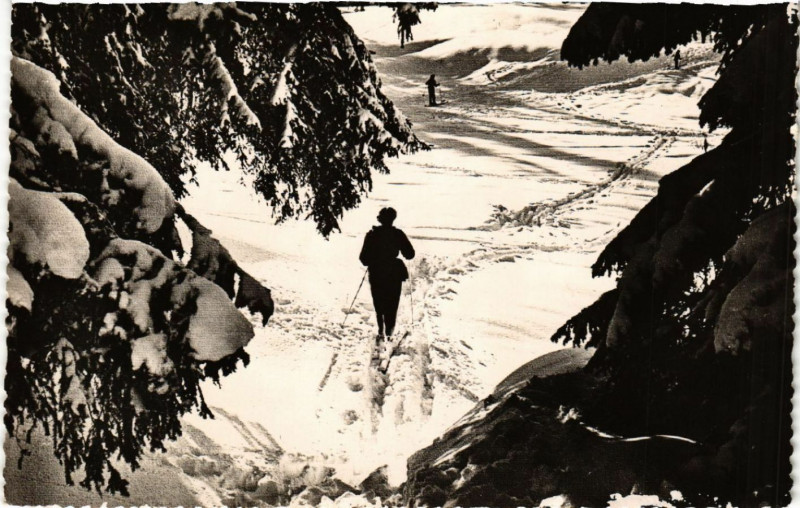 Carte postale ancienne Le Haut Jura en Hiver
