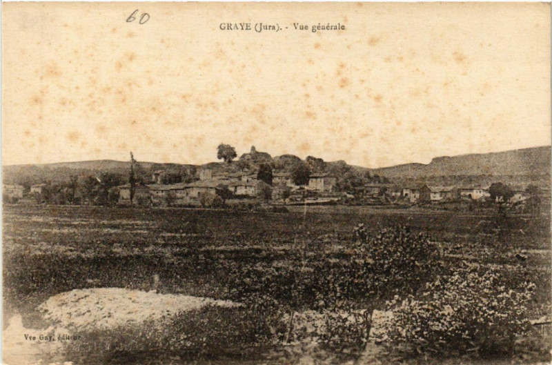 Carte postale ancienne Graye Vue générale