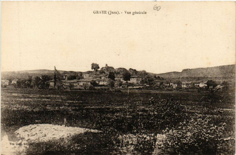 Carte postale ancienne Graye Vue générale