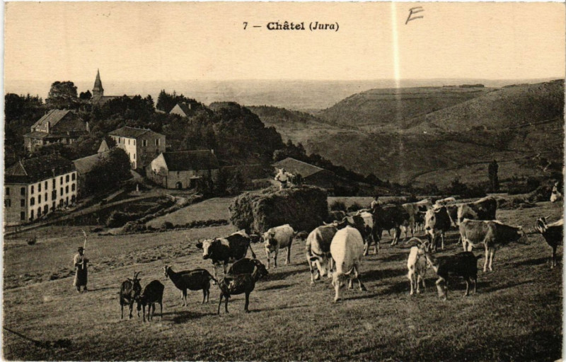 Carte postale ancienne Chatel