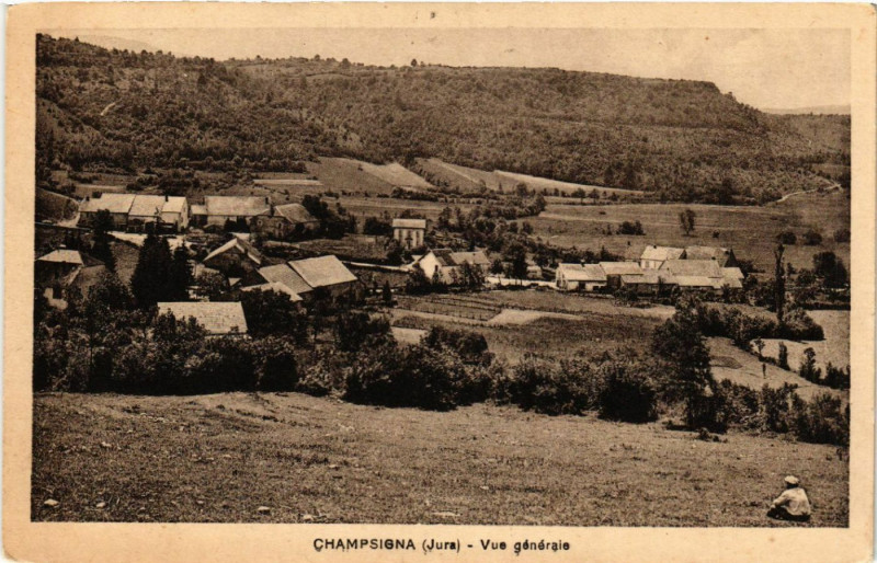 Carte postale ancienne Champsigna Vue générale