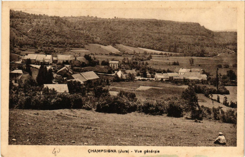 Carte postale ancienne Champsigna Vue générale