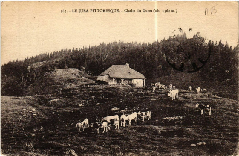 Carte postale ancienne Chalet du Turet