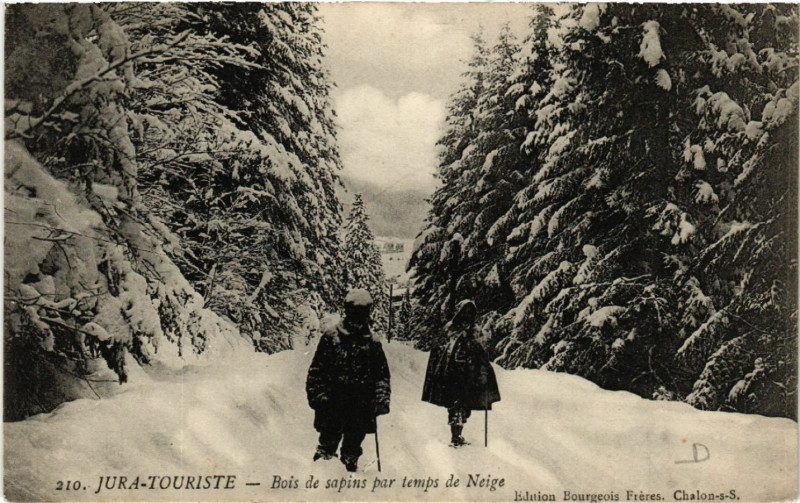Carte postale ancienne Bois de sapins par temps de Neige