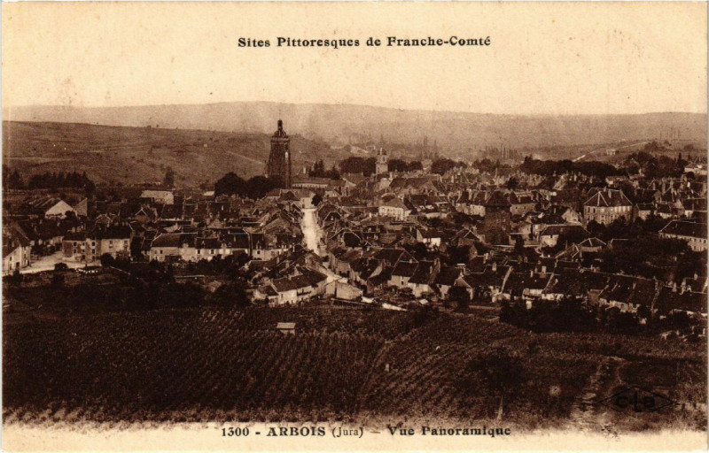 Carte postale ancienne Arbois Vue panoramique à Arbois