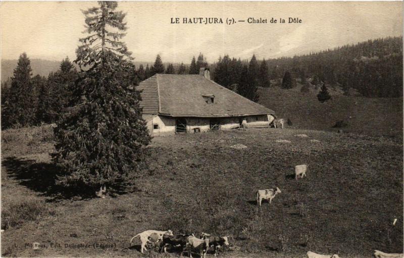 Carte postale ancienne Le Haut-Jura - Chalet de la Dole à Dole