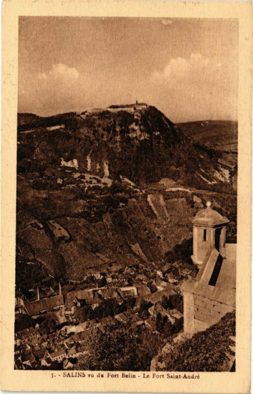 Carte postale ancienne Salins vu du Fort Belin-Le Fort Saint-Andre