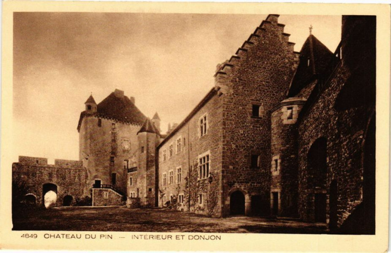Carte postale ancienne Chateau du Pin - Interieur et Donjon