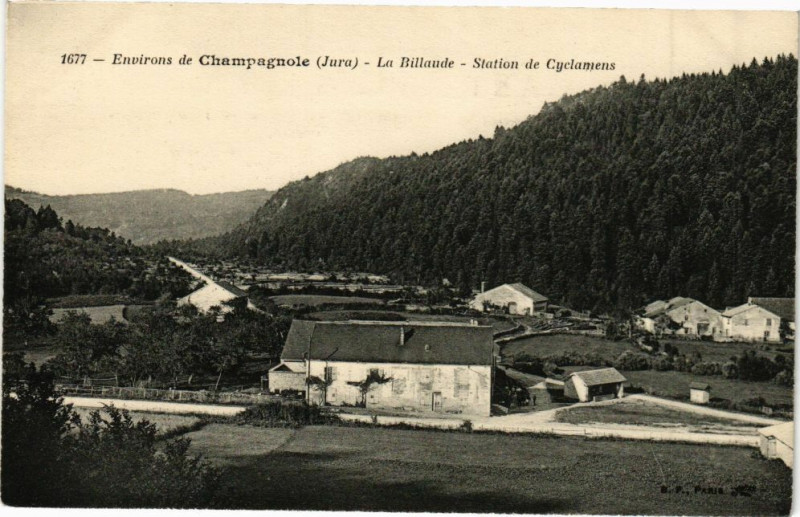 Carte postale ancienne La Billaude - Station de Cyclamens