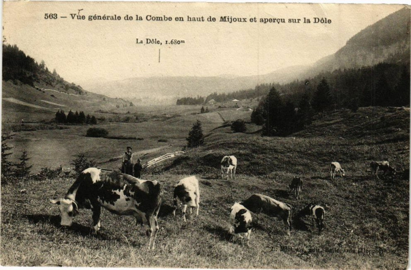 Carte postale ancienne Vue générale de la Combe en haut de Mijoux -