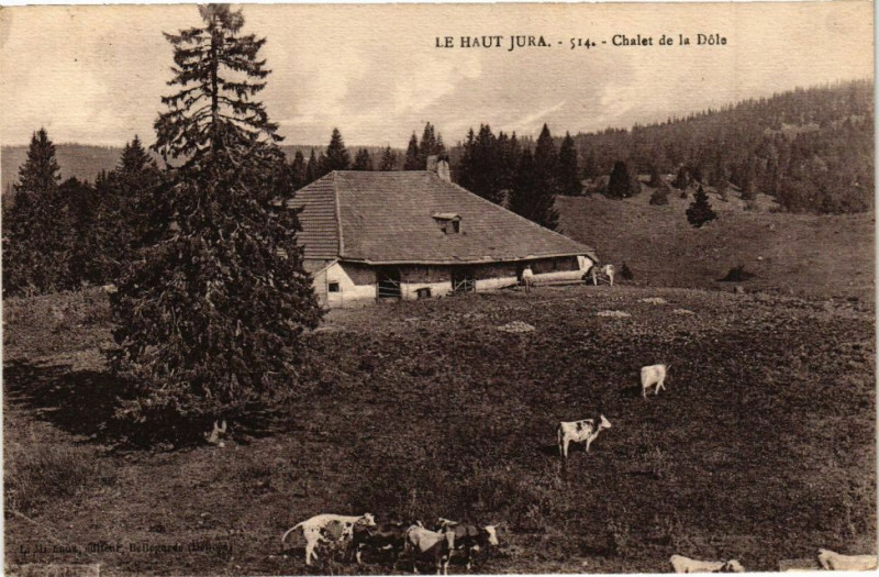 Carte postale ancienne Le Haut-Jura - Chalet de la Dole à Dole
