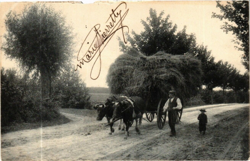 Carte postale ancienne Marnoz - Paysage à Marnoz