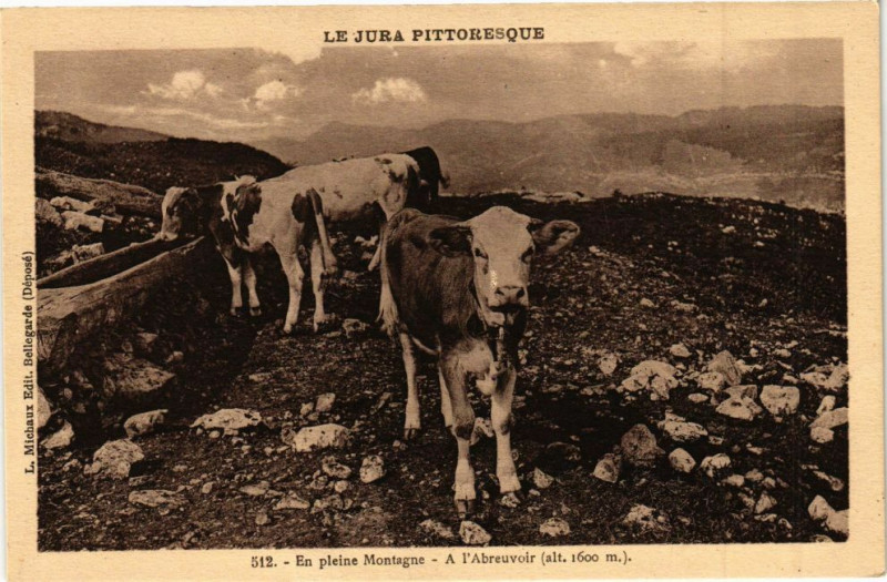 Carte postale ancienne En plein Montagne - Abreuvoir