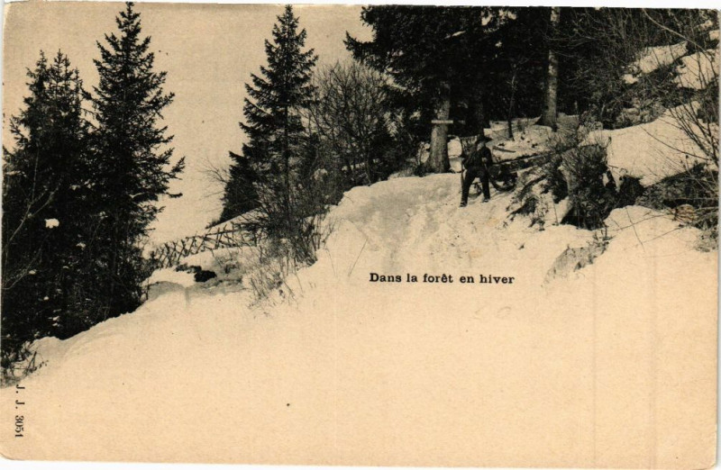 Carte postale ancienne Dans la foret en hiver