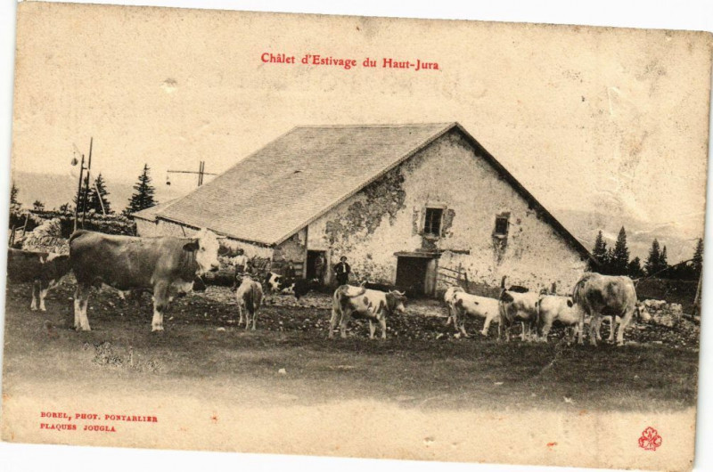 Carte postale ancienne Chalet d'Estivage du Haut-Jura