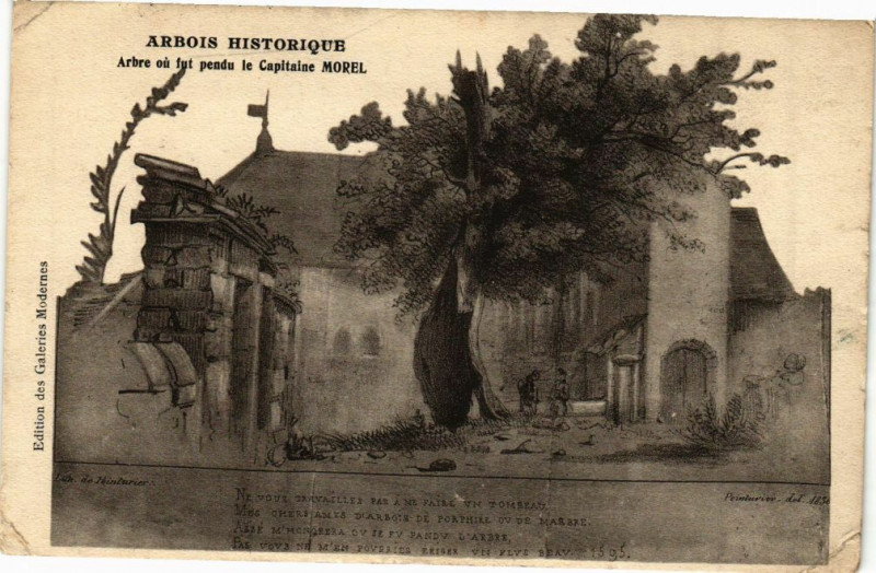 Carte postale ancienne Arbois Historique - Arbre ou fut pendu le Capitaine Morel à Arbois