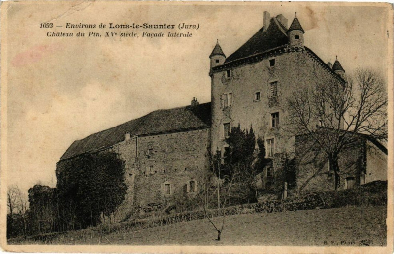 Carte postale ancienne Chateau du Pin - acade laterale