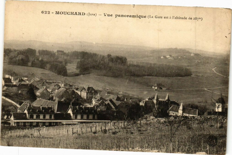 Carte postale ancienne Mouchard - Vue Panoramique à Mouchard