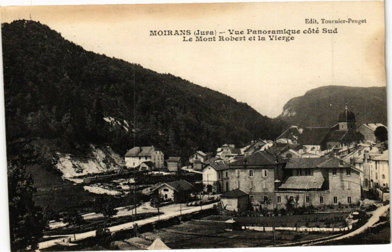Carte postale ancienne Moirans - Vue Panoramique à Rans