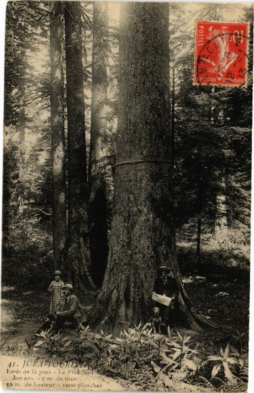 Carte postale ancienne Foret de la Joux - Le Pesdident