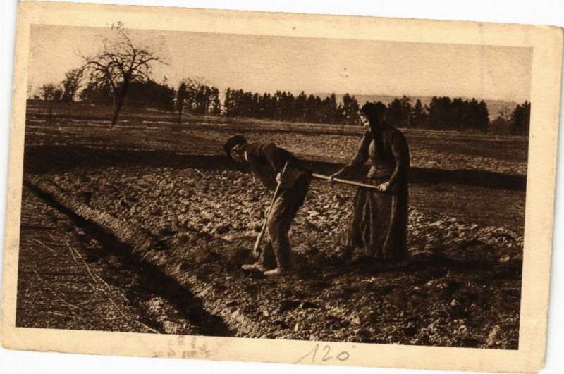 Carte postale ancienne Jura - Paysans sur les champs