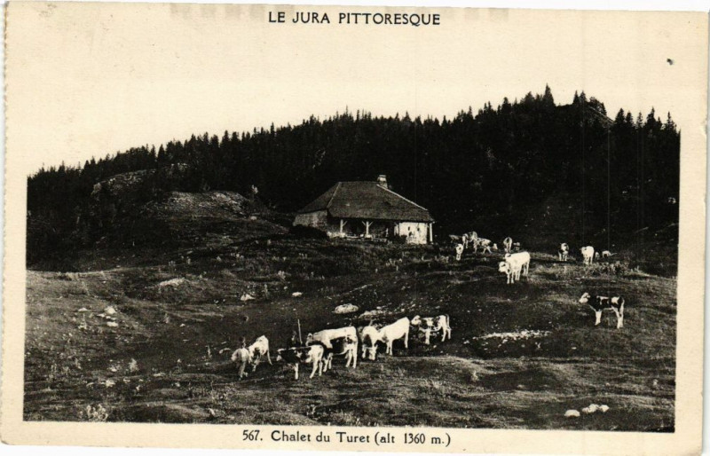 Carte postale ancienne Chalet du Turet