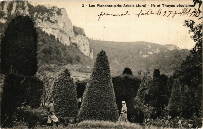 Carte postale ancienne Les Planches-Pres-Arbois - Ifs et Thuyas seculaires aux Planches-près-Arbois