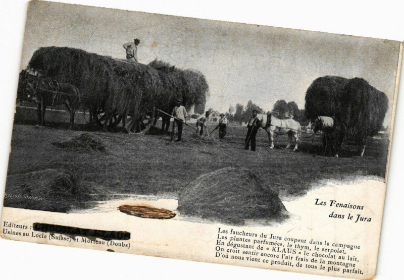 Carte postale ancienne Dans le Jura - Les Fenaisons