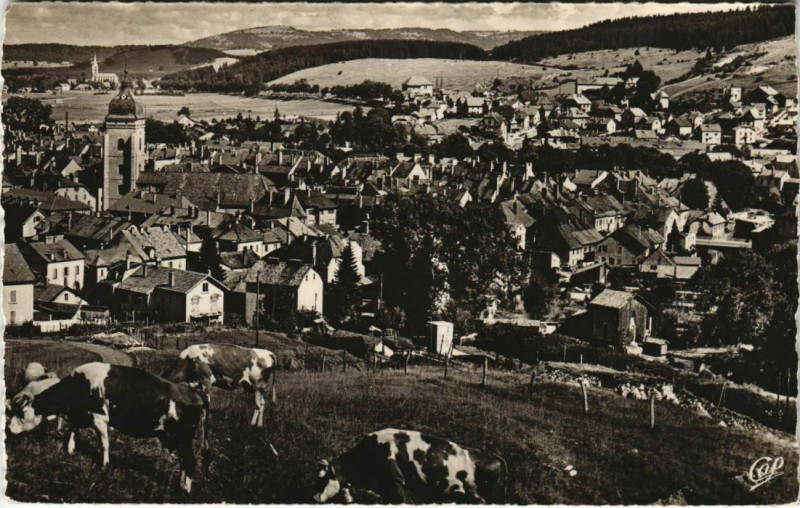 Carte postale ancienne Pontalier Les Paturages et la Ville France