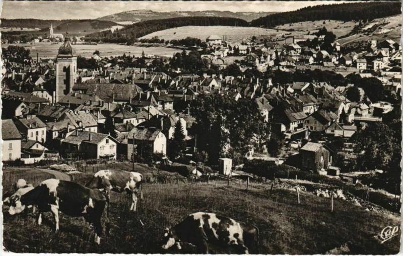 Carte postale ancienne Pontalier Les Paturages et la Ville France