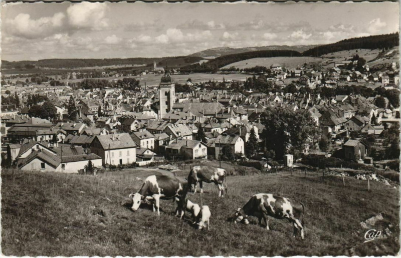 Carte postale ancienne Pontalier Les Paturages et la Ville France