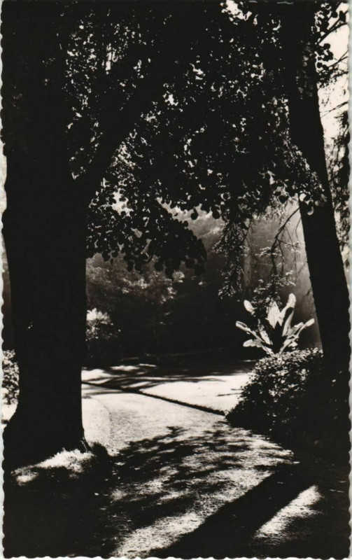Carte postale ancienne Besancon Promenade Micaud France à Besançon