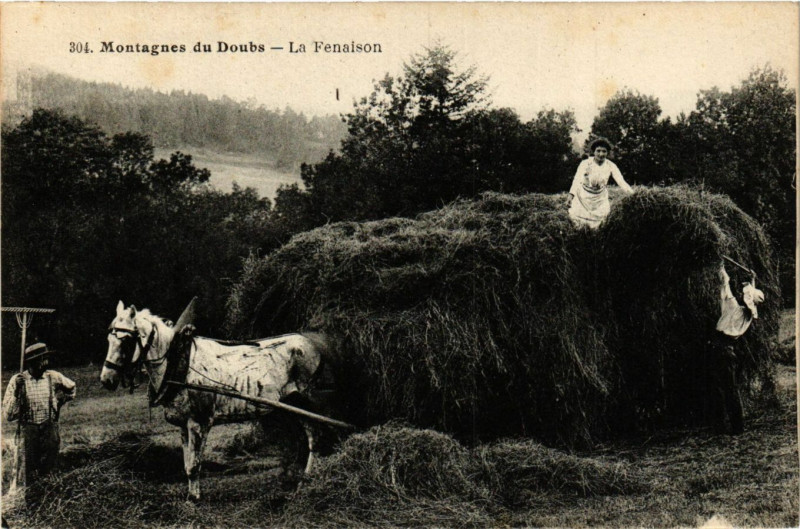 Carte postale ancienne Montagnes du Doubs - La Fenaison à Doubs