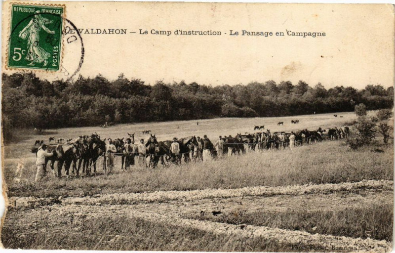 Carte postale ancienne Le Valdahon - Le Camp d'instruction - Le Pansage en Campagne à Valdahon