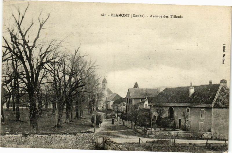Carte postale ancienne Blamont - Avenue des Tilleuis à Blamont