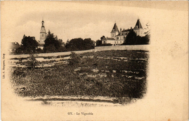 Carte postale ancienne Vy - Le Vignoble