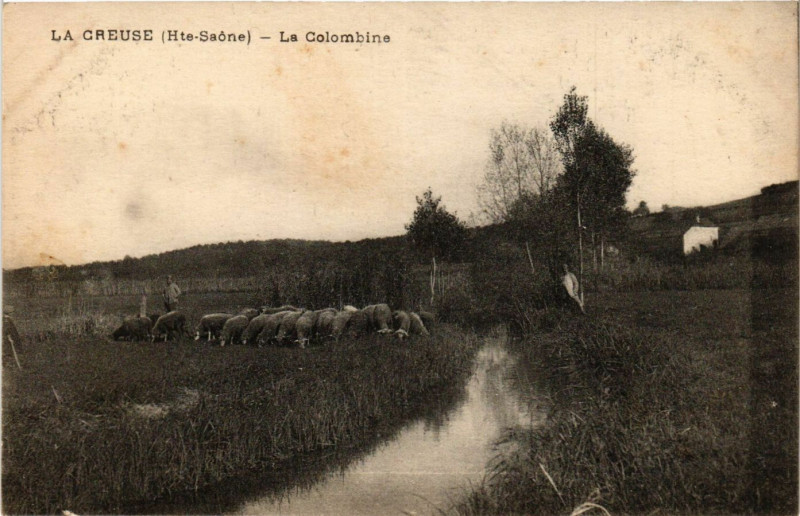 Carte postale ancienne La Creuse - La Colombins à La Creuse