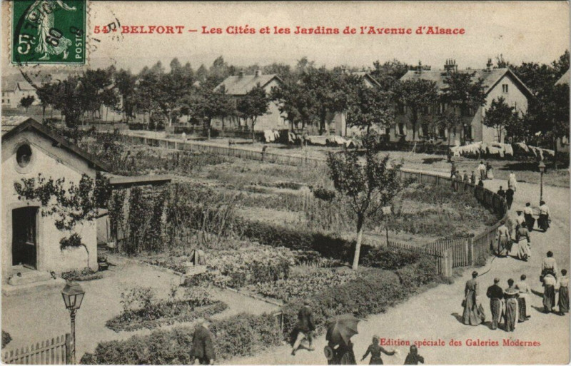 Carte postale ancienne Belfort - Les Cites et les Jardins de l'Avenue d'Alsace à Belfort