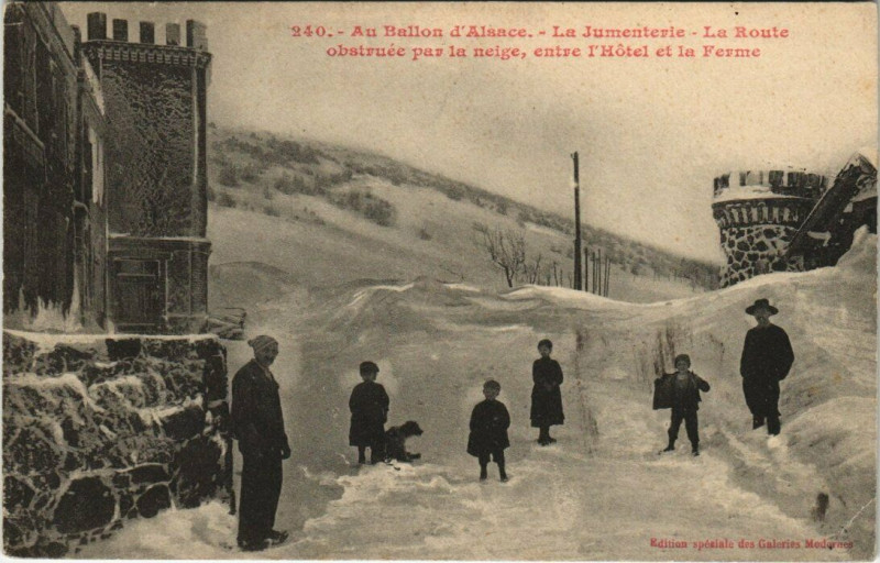 Carte postale ancienne Au Ballon d'Alsace - La Jumenterie
