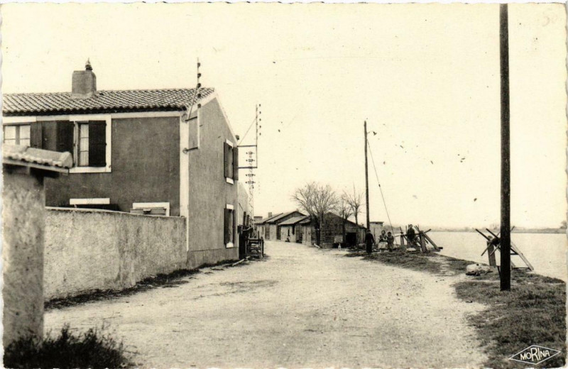 Carte postale ancienne Fleury-d'Aude Les Cabanes et l'Embouchure de l'Aude à Fleury