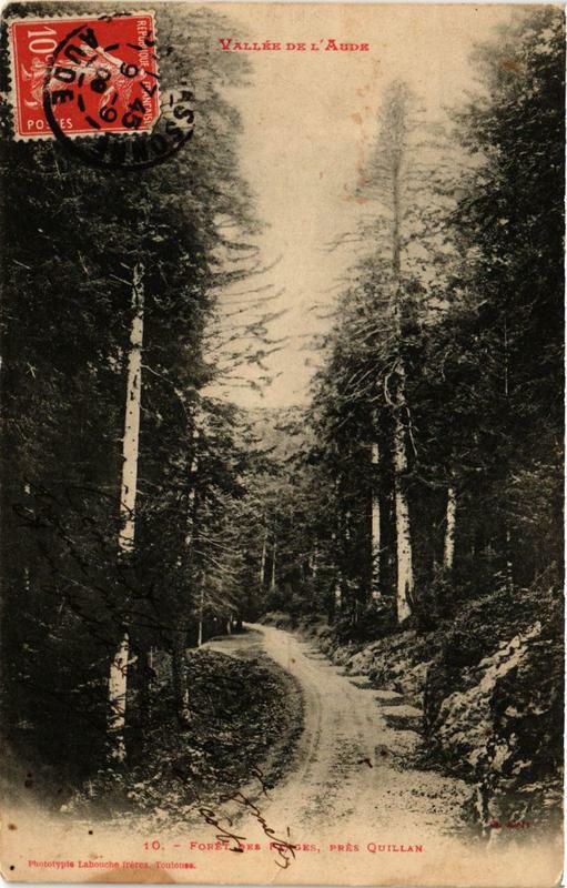 Carte postale ancienne Foret des Farges, pres Quillan à Quillan