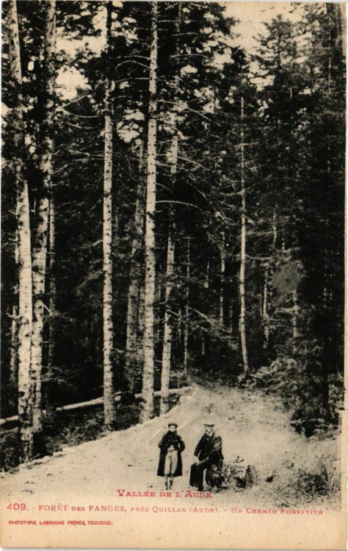 Carte postale ancienne Forét des Fanges prés Quillan-Un Chemin Forestier à Quillan
