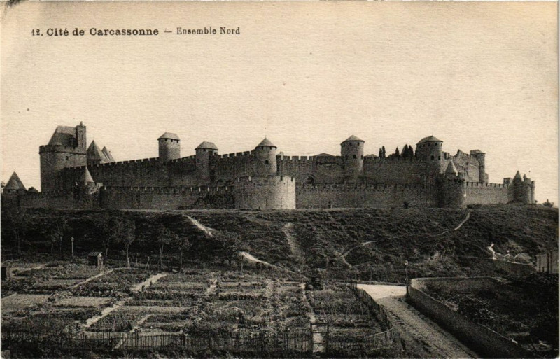 Carte postale ancienne Cité de Carcassonne-Ensemble Nord à Carcassonne