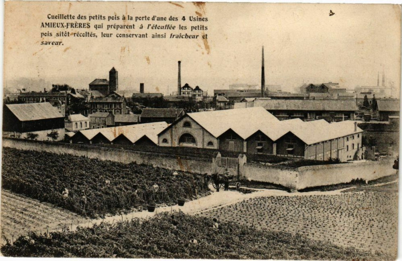Carte postale ancienne Cours de la République-Narbonne à Narbonne