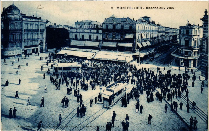 Carte postale ancienne Montpellier - Marché aux Vins à Montpellier