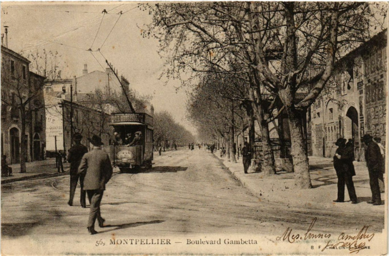 Carte postale ancienne Montpellier - Boulevard Gambetta à Montpellier