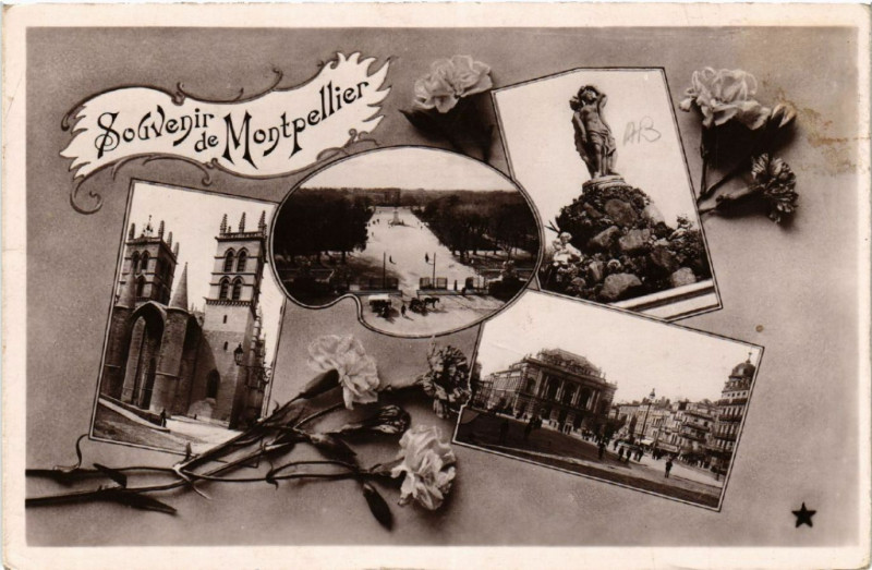 Carte postale ancienne Souvenir de Montpellier à Montpellier