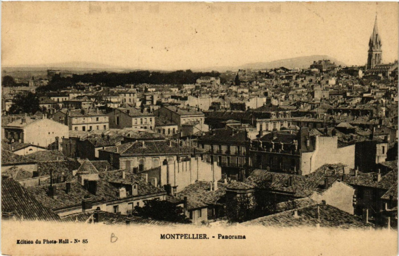 Carte postale ancienne Montpellier - Panorama à Montpellier